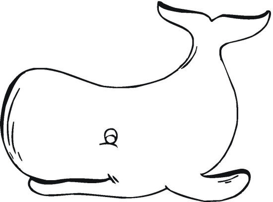 550x407 Awesome And Beautiful Whale Coloring Pages For Adults Preschool