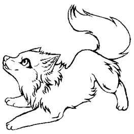 264x264 Wolf Coloring Pages 08 How To Draw Wolf, Adult