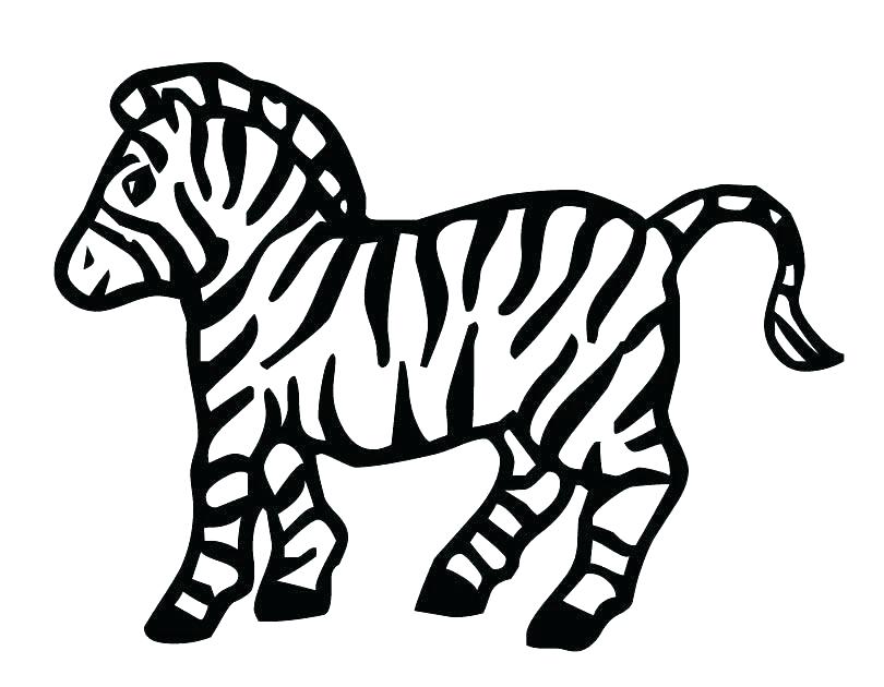 810x630 Cute Zebra Coloring Pages Cute Zebra Colouring Pages