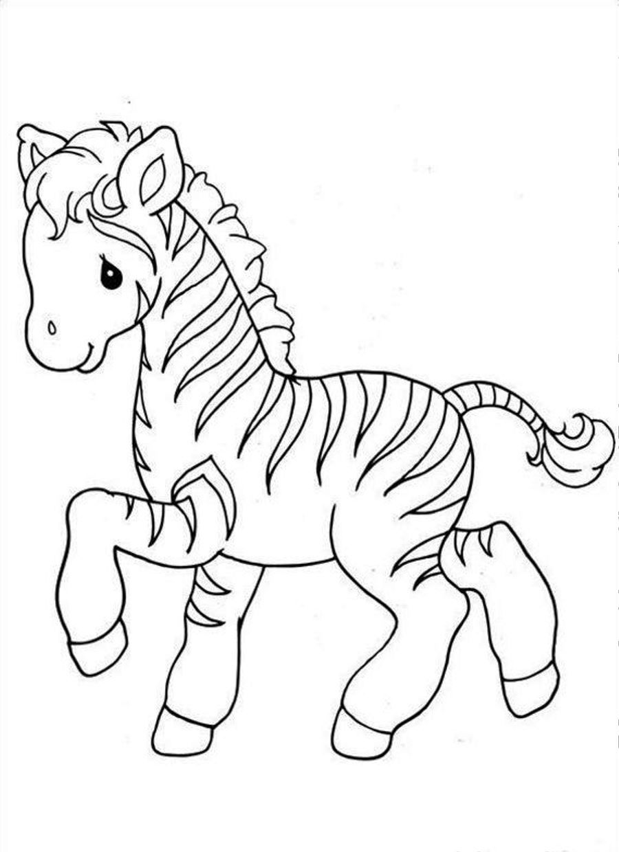 900x1240 Cute Zebra Coloring Pages