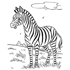 230x230 Top 20 Free Printable Zebra Coloring Pages Online