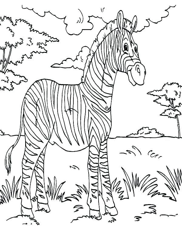 600x800 Cute Zebra Coloring Pages Coloring Ideas Pro