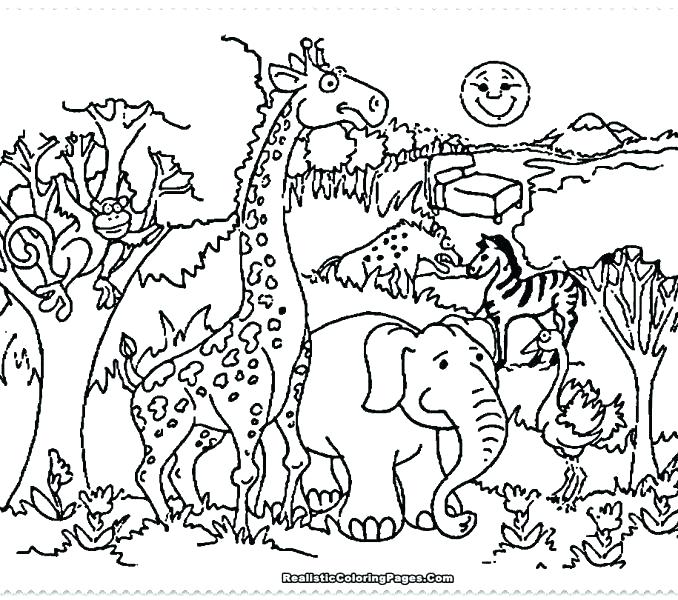 678x600 Cuttlefish Coloring Pages Zoo Coloring Pages Plus Holiday