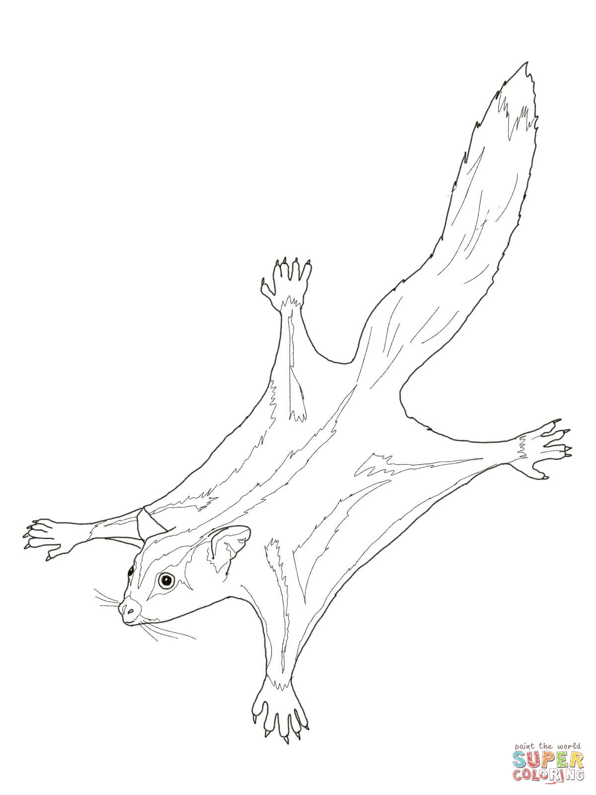 1200x1600 Sugar Glider Coloring Pages Collection Coloring For Kids 2018