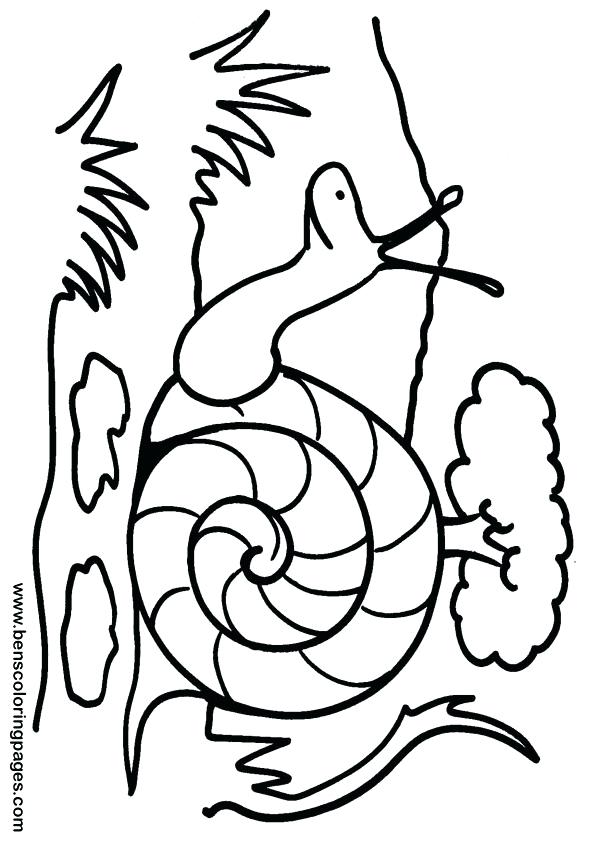 595x842 Cuttlefish Coloring Page Free Printable Coloring Pages Funny Snail