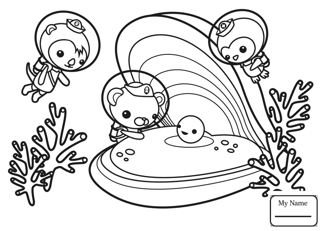 1088x778 Cuttlefish Coloring Pages