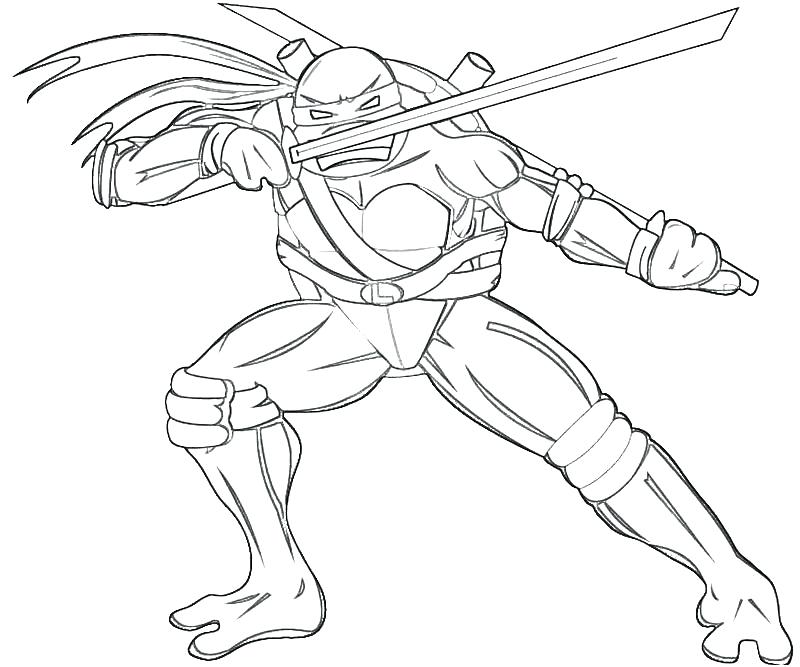 800x667 Leonardo Coloring Pages Printable Coloring Page Free Download