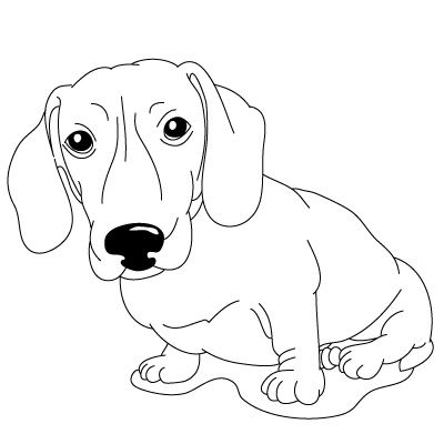 Dachshund Coloring Pages