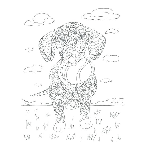 600x600 Dachshund Coloring Pages Dachshund Coloring Pages Miniature