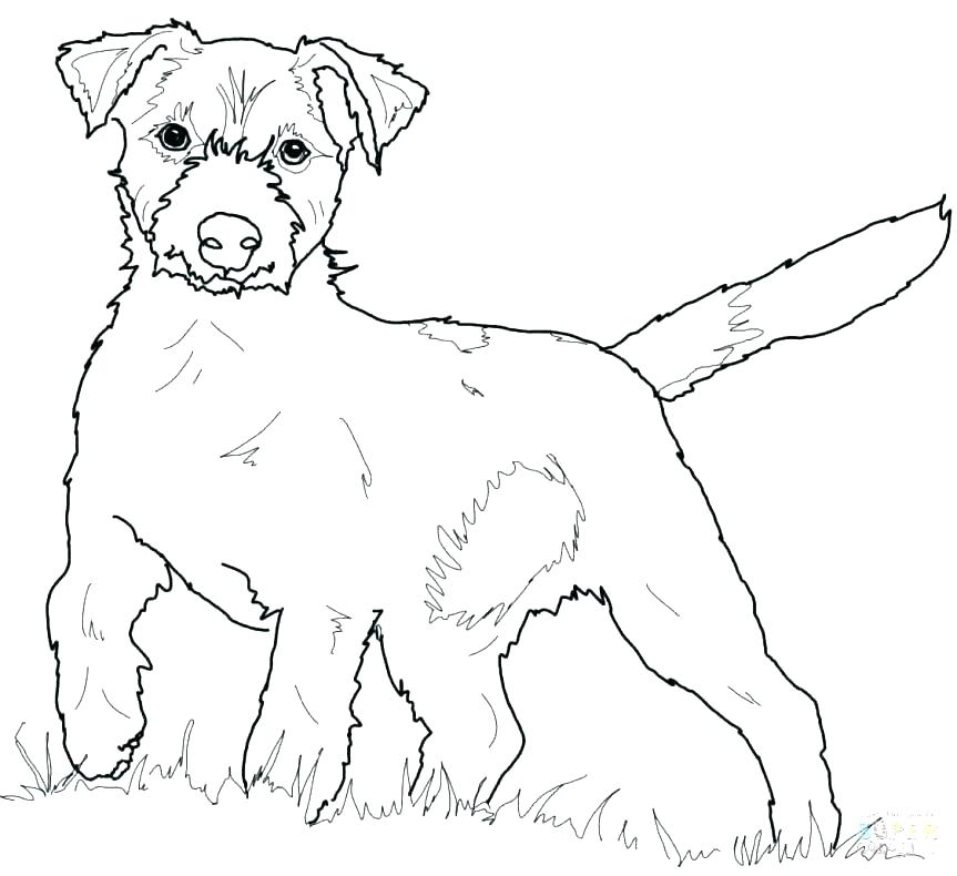 863x790 Dachshund Coloring Page Dog Coloring Pages Dachshund Coloring Page