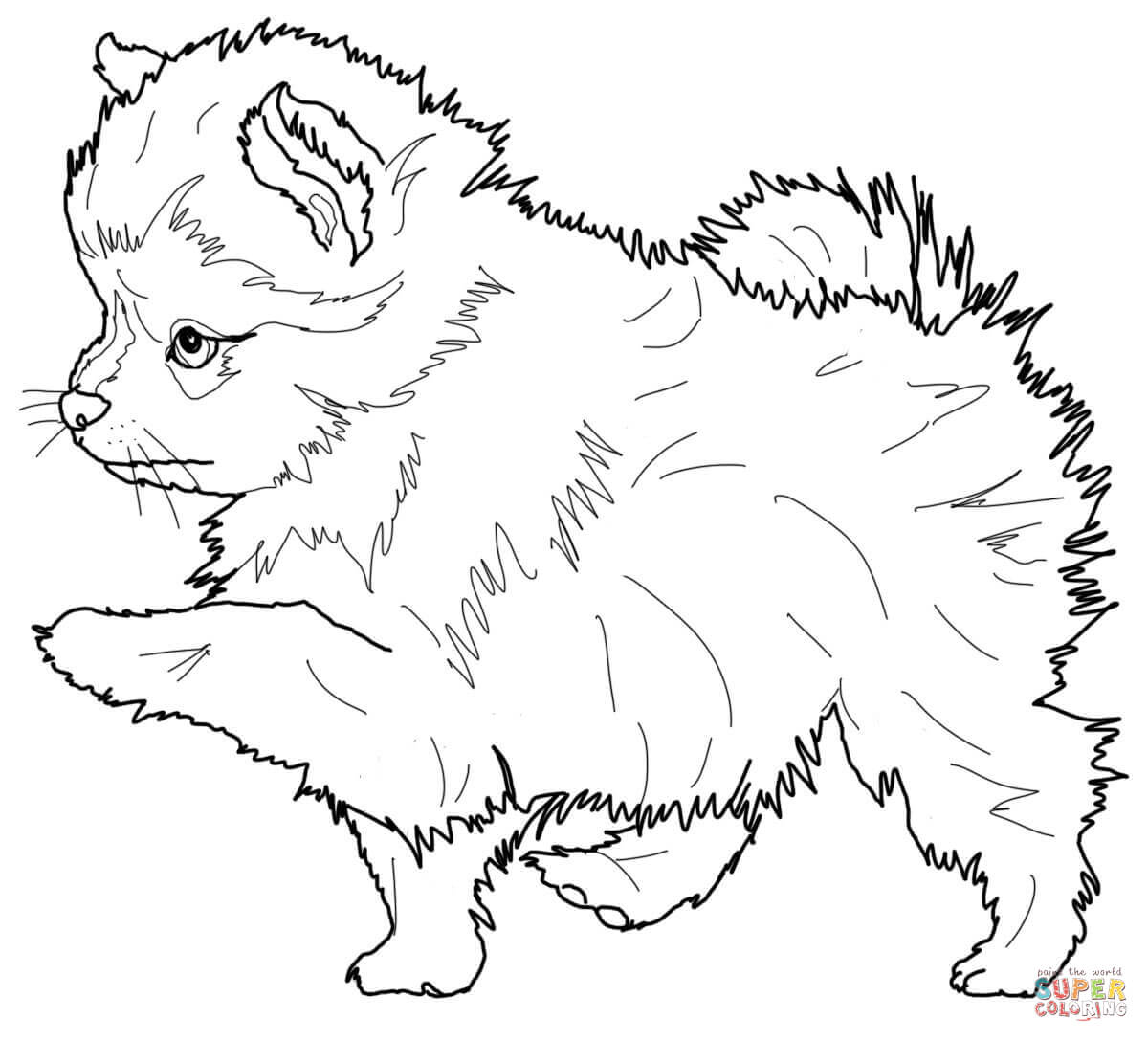 1200x1088 Pomeranian Dog Coloring Page Dachshund Pages
