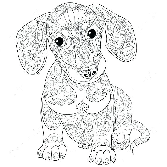 570x570 Dachshund Coloring Pages Dachshund Coloring Page Dachshund