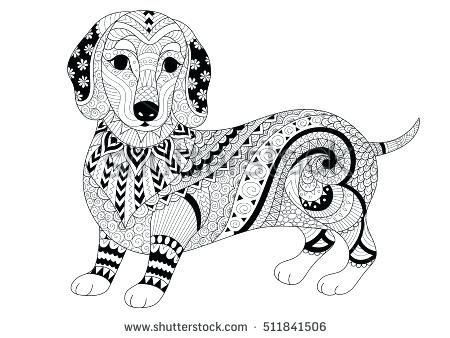 450x338 Dachshund Coloring Pages Design Of Dachshund Puppy For Adult