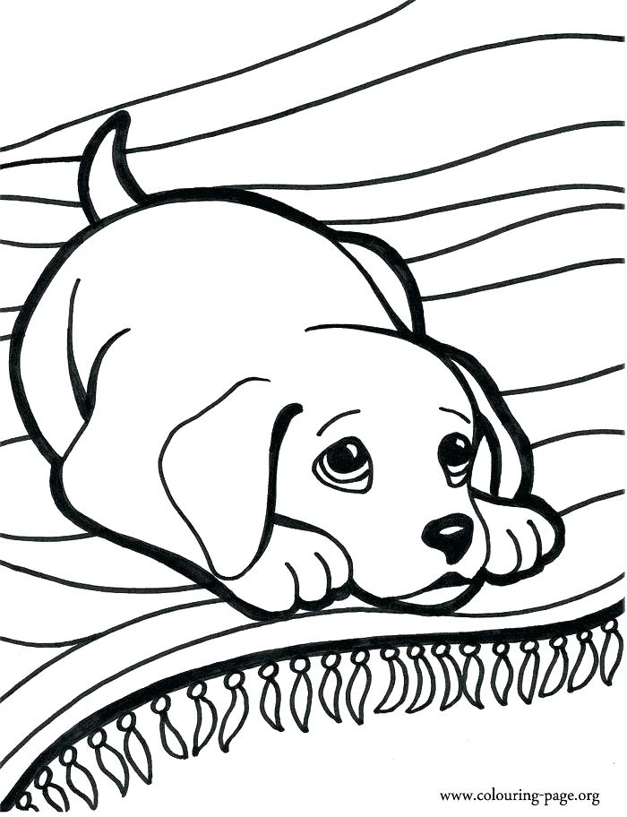 700x912 For Puppy Color Drawing Coloring Pages For Puppy Color Drawing