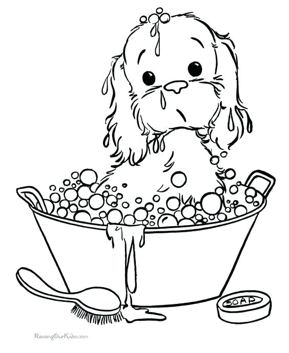 564x690 Coloring Pages Puppies Printable Coloring Pages Dogs Dachshund