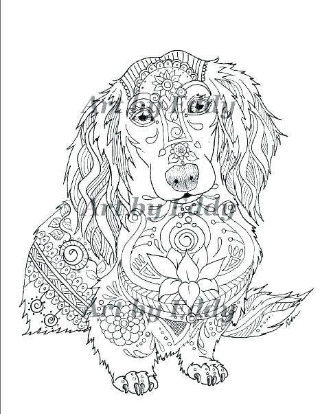 466x603 Dachshund Coloring Page Dog Coloring Pages Images Dachshund Puppy