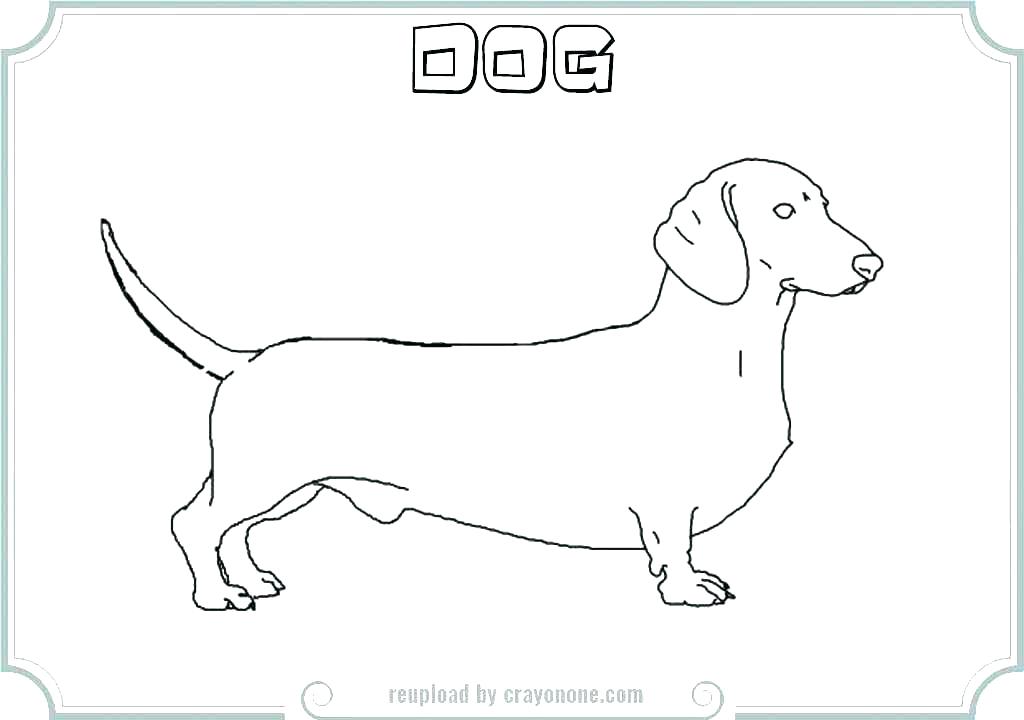 1024x720 Dachshund Coloring Pages Awesome Dog Coloring Pages Image Hund