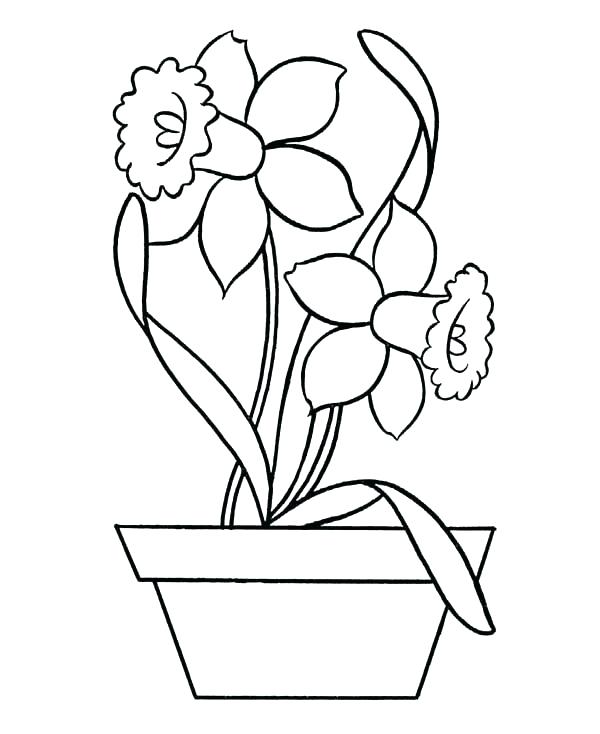 600x734 Daffodil Coloring Page Springtime Coloring Pages Kids Drawing