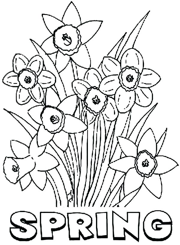 600x818 Daffodil Coloring Page Drawn Daffodil One Flower Free Printable