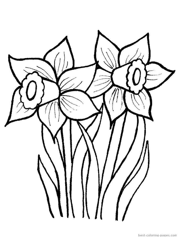 750x1000 March Daffodil Flower Coloring Page