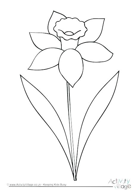 460x650 Daffodil Coloring Page Adult Coloring Page Daffodil Flower