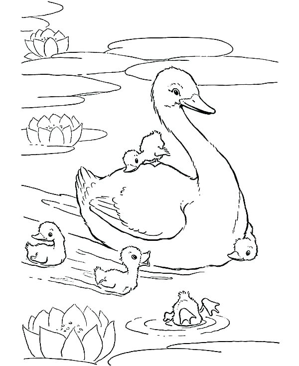 600x734 Baby Duck Coloring Page Baby Daffy Ck Coloring Pages Babies Mother