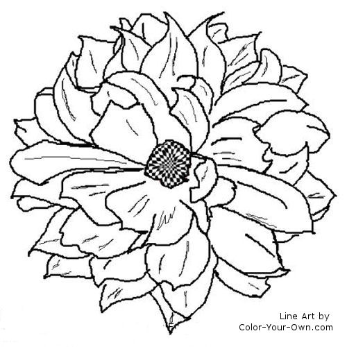 500x500 Dahlia Flower Coloring Page