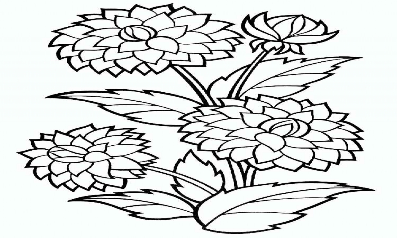 1280x768 Flower Coloring Pages Dahlia And Print