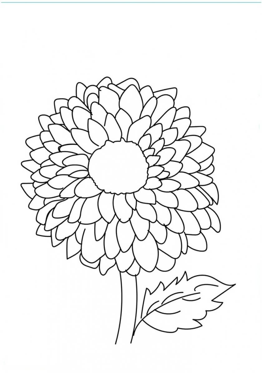 839x1193 Beautiful Printable Flowers Coloring Pages