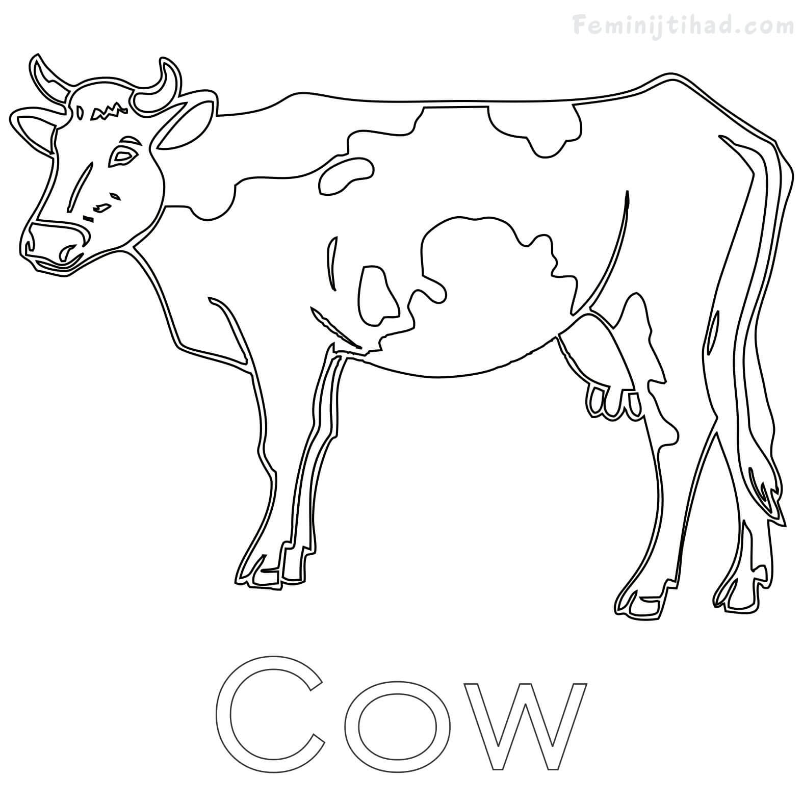 1575x1575 Cow Coloring Pages Free To Print Coloring Pages For Kids