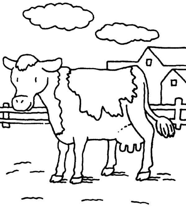 600x676 Dairy Cow Netart