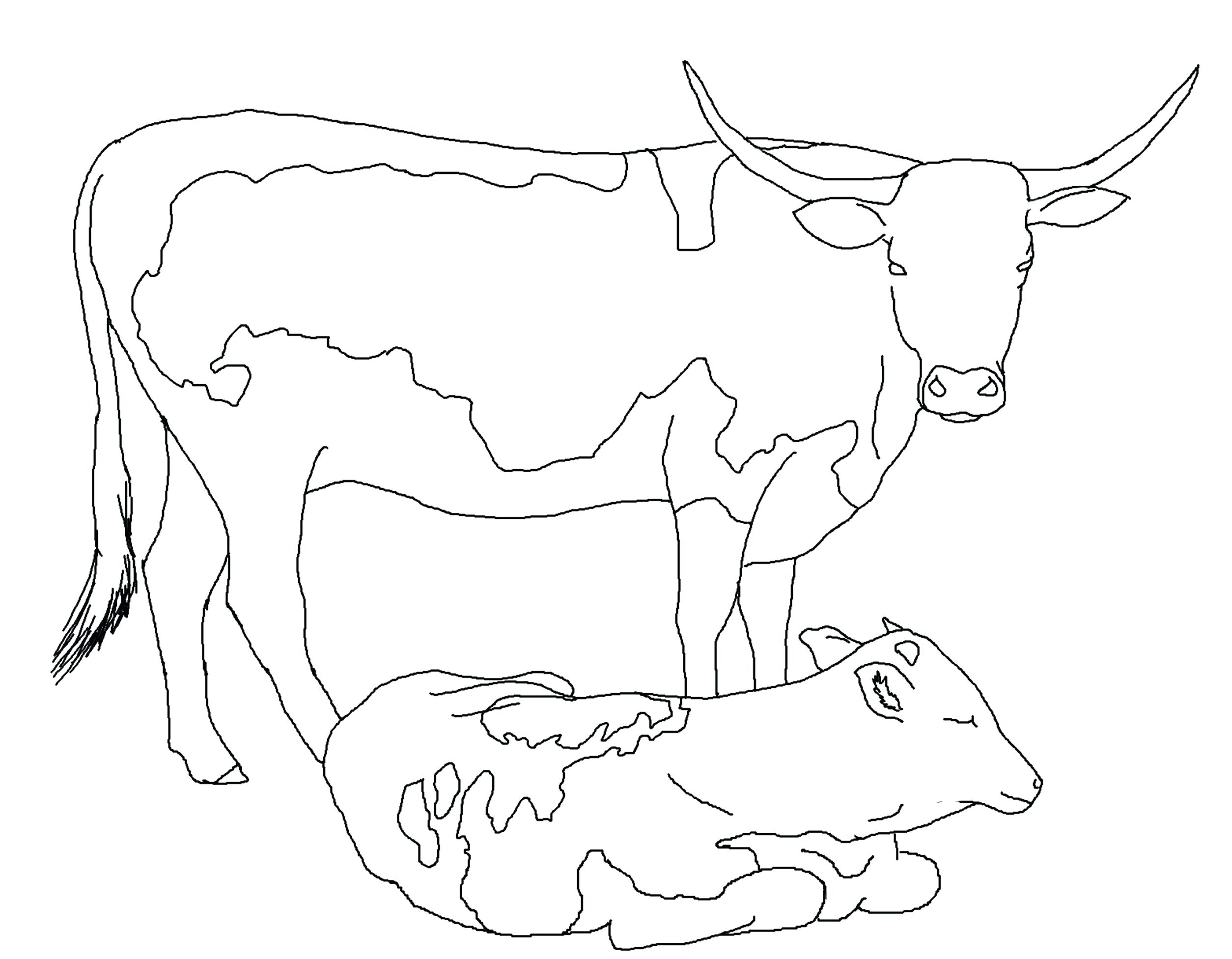 2508x1952 Dairy Cow Coloring Pages