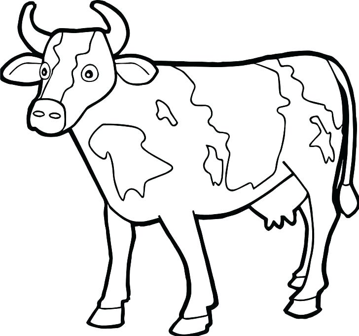 728x681 Inspiring Cows Coloring Pages Cow Coloring Page Inspirational Cow