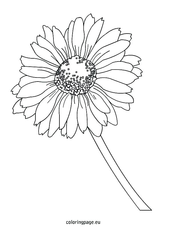 595x804 Daisy Coloring Pages Daisy Coloring Pages Coloring Pages Princess