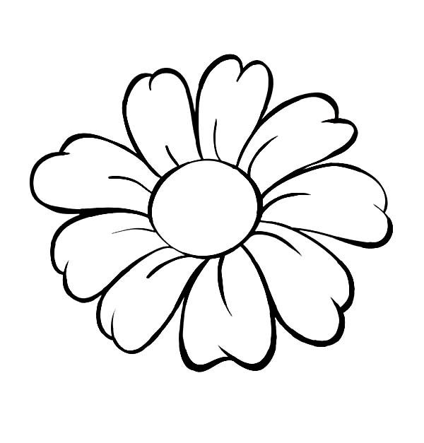 600x627 Daisy Flower, Daisy Flower Outline Coloring Page Stencils
