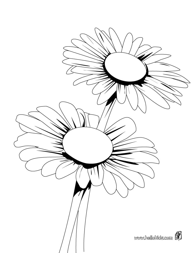 820x1060 Daisy Bunch Coloring Pages