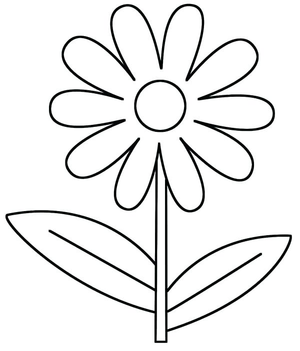 600x700 Printable Daisy Coloring Pages