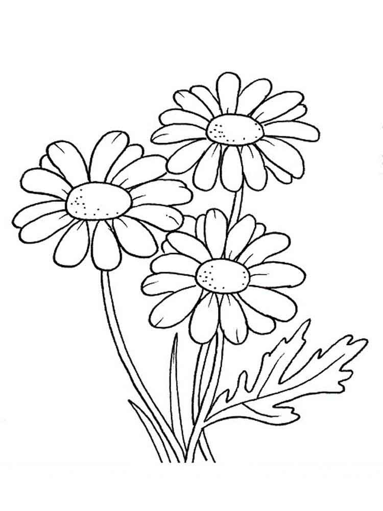 750x1000 Httpmycoloring Flower