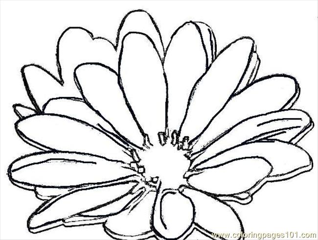 650x490 Daisy 7176w Coloring Page