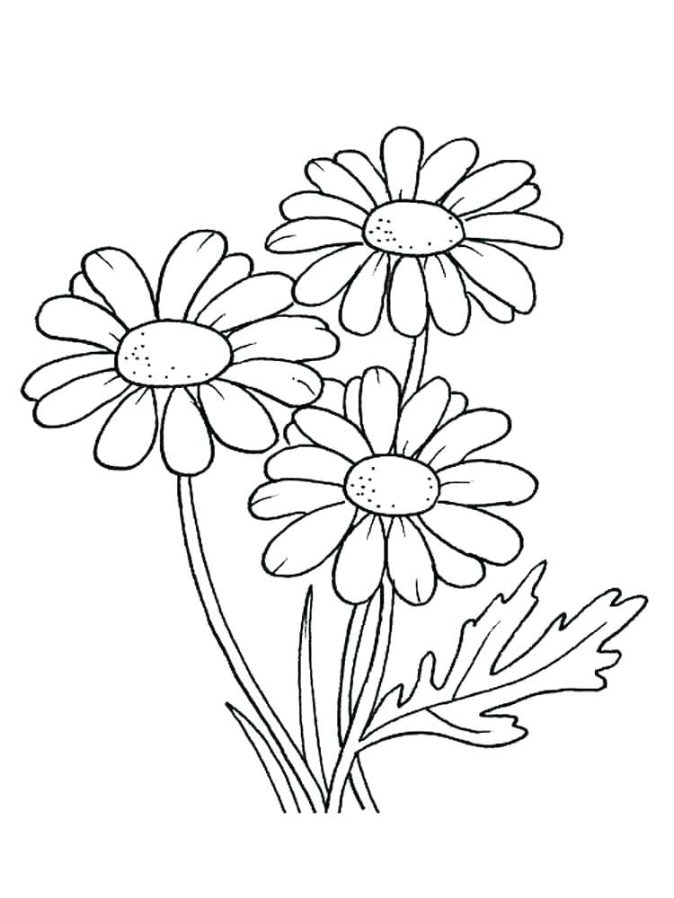 750x1000 Girl Scout Daisy Coloring Pages Daisy Girl Scout Coloring Pages