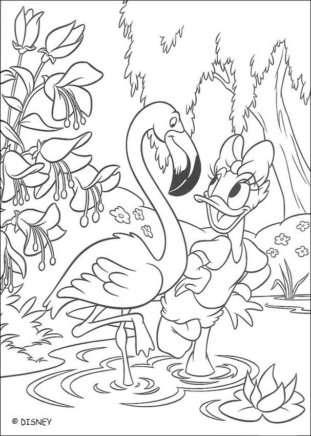 607x850 Daisy Duck With A Flamingo Coloring Pages