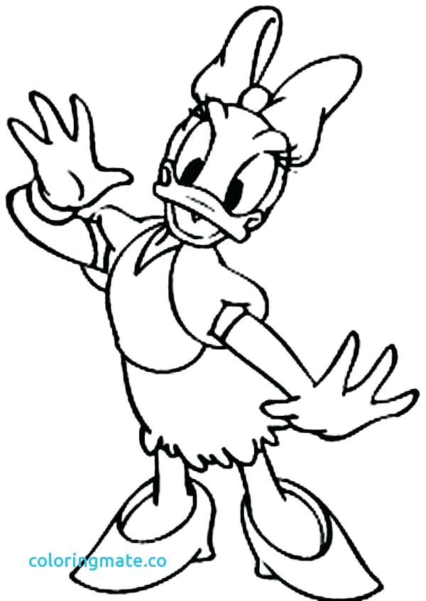 600x847 Minnie Mouse And Daisy Duck Coloring Pages And An Owl Coloring