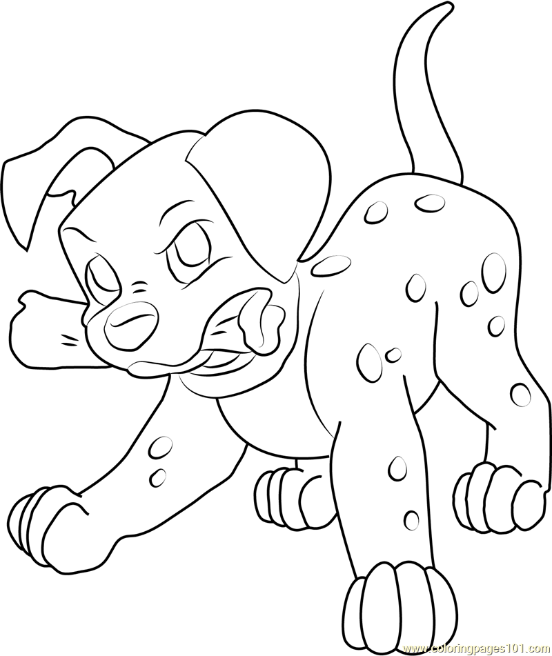 800x951 Angry Dalmatian Puppy Coloring Page