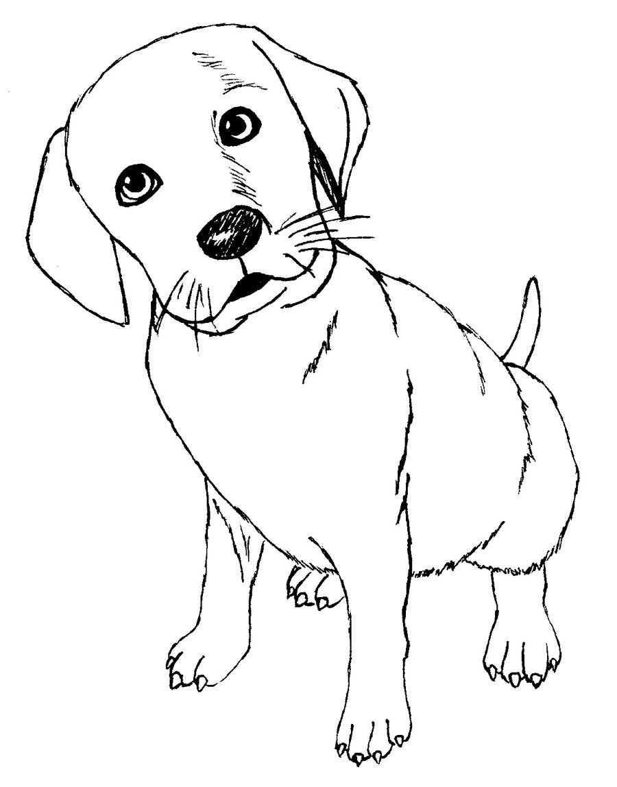 900x1148 101 Dalmation Dogs Coloring Pages Pictures Of Lilo And Stitch