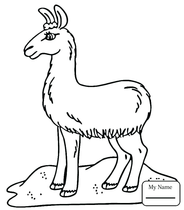 765x871 Llama Coloring Pages Click To See Printable Version Of Dam Llama