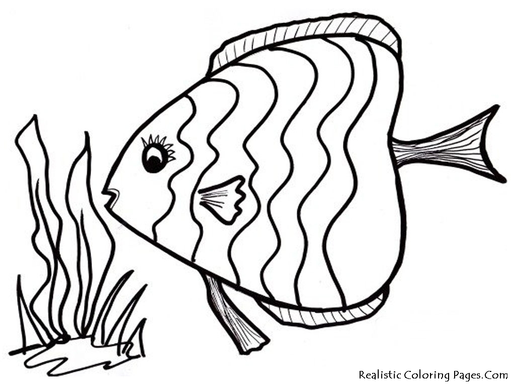 1024x768 Generous Polar Express Coloring Pages To Print Ideas New