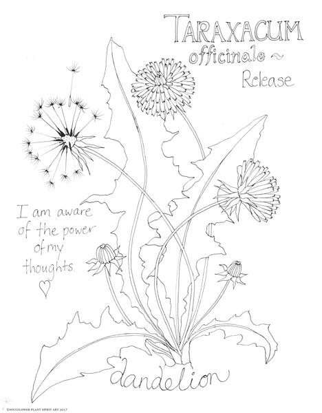 468x600 Dandelion (Release) Coloring Page