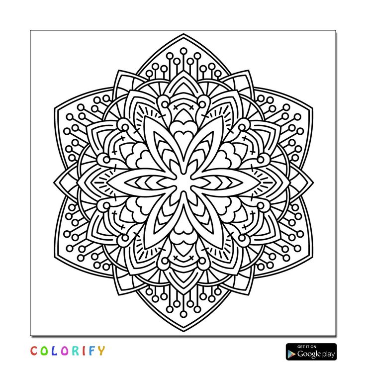 736x736 Dandelion Coloring Page (9 Images)