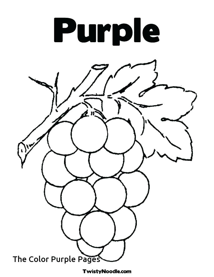685x886 Purple Coloring Pages Dandelion Coloring Page The Color Purple