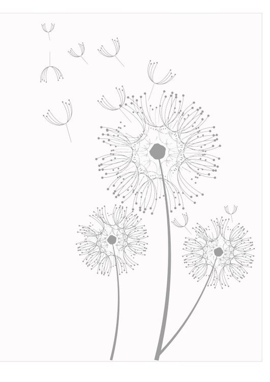 531x750 Coloring Page Dandelions Coloring Dandelions